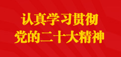 認(rèn)真學(xué)習(xí)貫徹黨的二十大精神