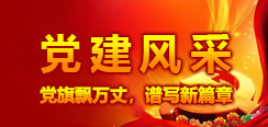 黨建風(fēng)采